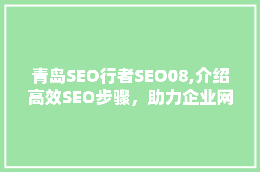 青岛SEO行者SEO08,介绍高效SEO步骤，助力企业网络营销