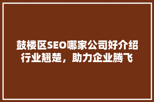 鼓楼区SEO哪家公司好介绍行业翘楚，助力企业腾飞  第1张