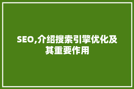 SEO,介绍搜索引擎优化及其重要作用
