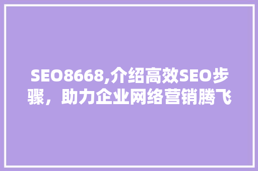 SEO8668,介绍高效SEO步骤，助力企业网络营销腾飞  第1张