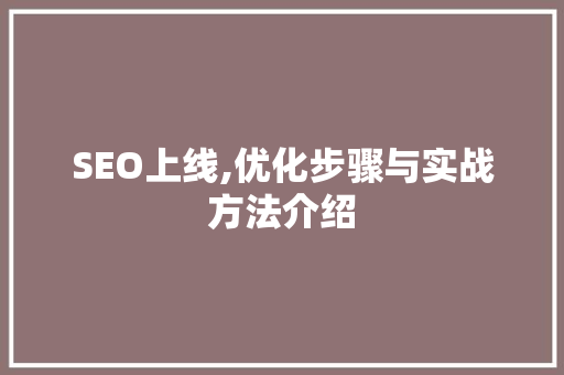 SEO上线,优化步骤与实战方法介绍