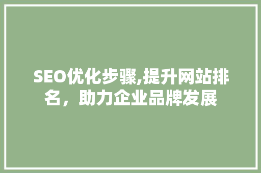 SEO优化步骤,提升网站排名，助力企业品牌发展