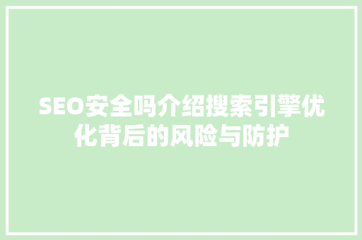 SEO安全吗介绍搜索引擎优化背后的风险与防护