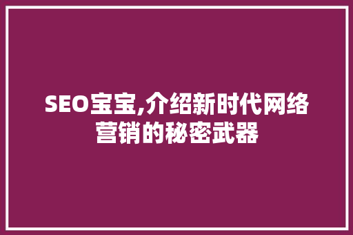 SEO宝宝,介绍新时代网络营销的秘密武器