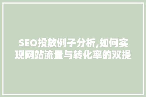 SEO投放例子分析,如何实现网站流量与转化率的双提升