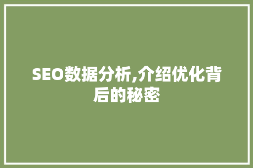 SEO数据分析,介绍优化背后的秘密