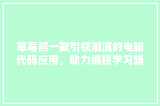 草莓熊一款引领潮流的电脑代码应用，助力编程学习新风尚