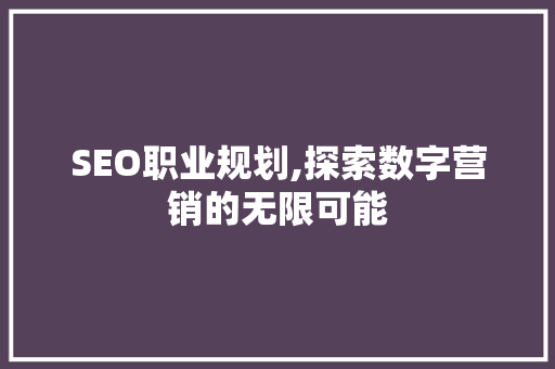 SEO职业规划,探索数字营销的无限可能