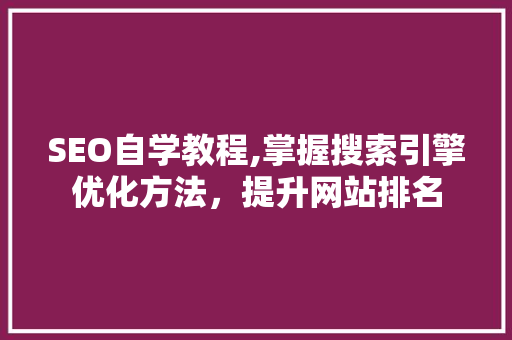 SEO自学教程,掌握搜索引擎优化方法，提升网站排名