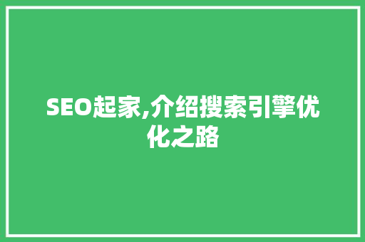 SEO起家,介绍搜索引擎优化之路