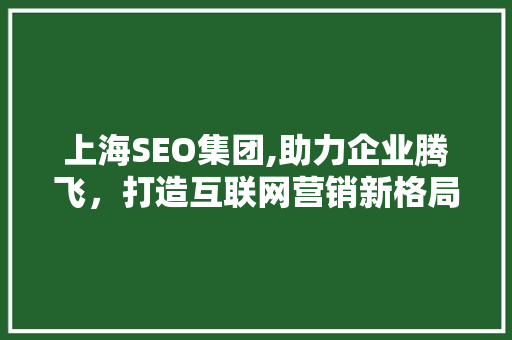上海SEO集团,助力企业腾飞，打造互联网营销新格局