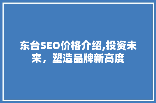 东台SEO价格介绍,投资未来，塑造品牌新高度
