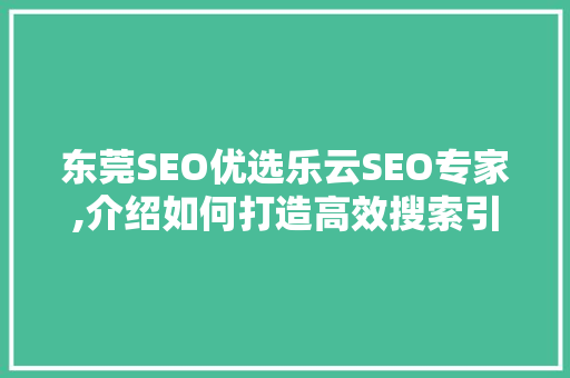 东莞SEO优选乐云SEO专家,介绍如何打造高效搜索引擎优化步骤