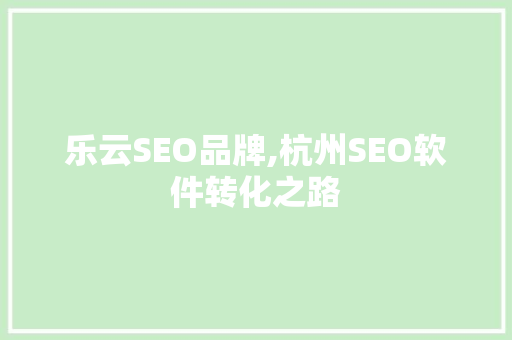 乐云SEO品牌,杭州SEO软件转化之路
