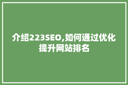 介绍223SEO,如何通过优化提升网站排名