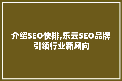 介绍SEO快排,乐云SEO品牌引领行业新风向