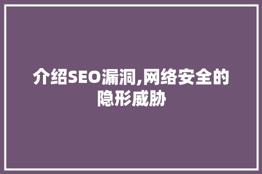 介绍SEO漏洞,网络安全的隐形威胁