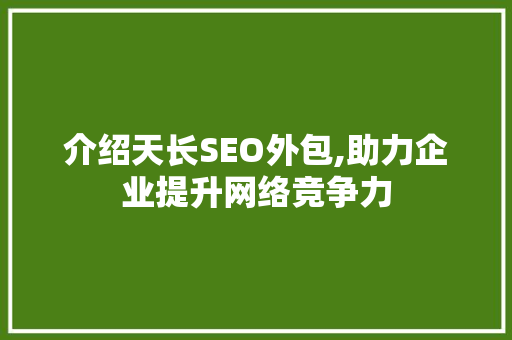 介绍天长SEO外包,助力企业提升网络竞争力