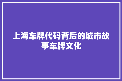 上海车牌代码背后的城市故事车牌文化
