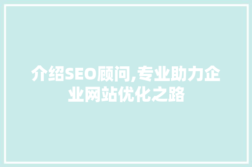 介绍SEO顾问,专业助力企业网站优化之路