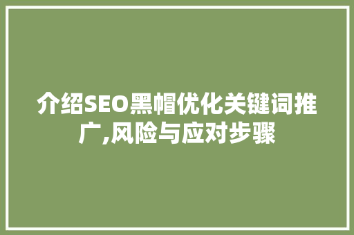 介绍SEO黑帽优化关键词推广,风险与应对步骤