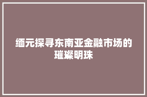 缅元探寻东南亚金融市场的璀璨明珠