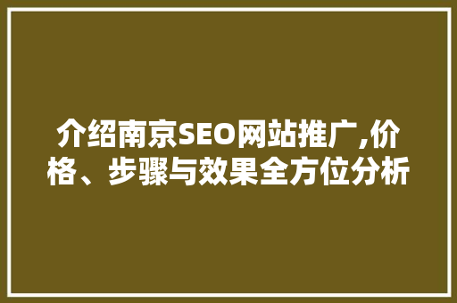 介绍南京SEO网站推广,价格、步骤与效果全方位分析  第1张