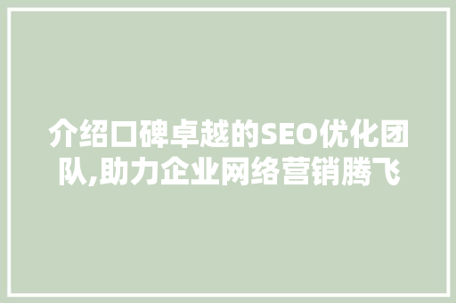 介绍口碑卓越的SEO优化团队,助力企业网络营销腾飞的秘密武器