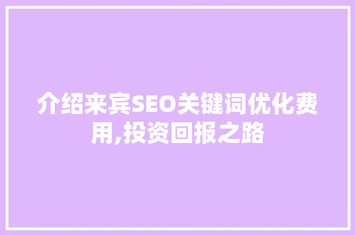 介绍来宾SEO关键词优化费用,投资回报之路  第1张