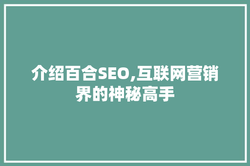 介绍百合SEO,互联网营销界的神秘高手