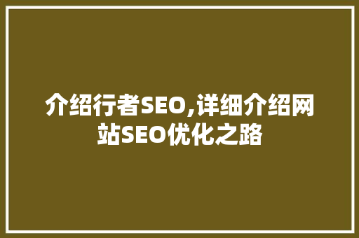 介绍行者SEO,详细介绍网站SEO优化之路
