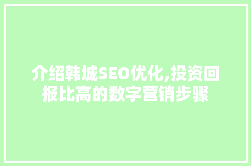 介绍韩城SEO优化,投资回报比高的数字营销步骤