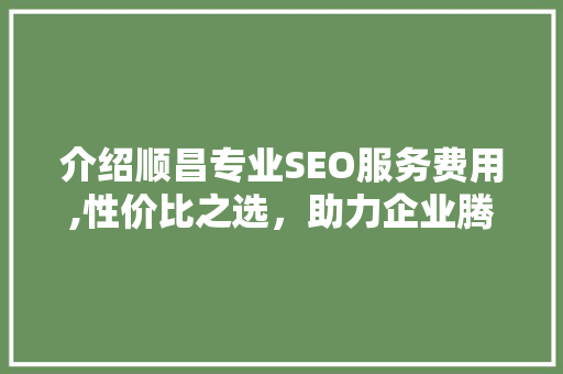 介绍顺昌专业SEO服务费用,性价比之选，助力企业腾飞  第1张