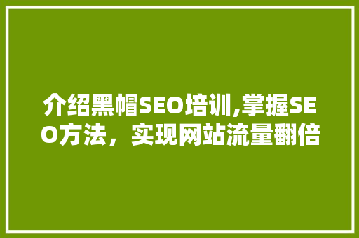 介绍黑帽SEO培训,掌握SEO方法，实现网站流量翻倍  第1张