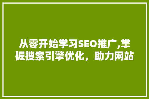 从零开始学习SEO推广,掌握搜索引擎优化，助力网站流量提升