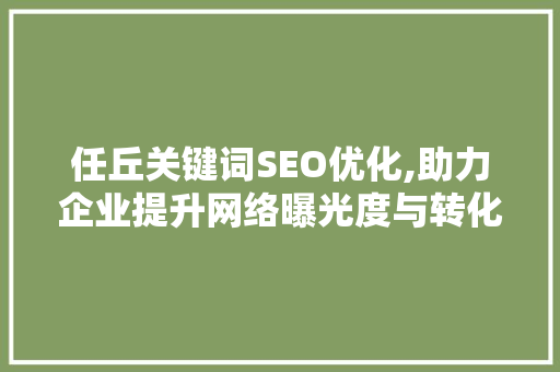 任丘关键词SEO优化,助力企业提升网络曝光度与转化率  第1张