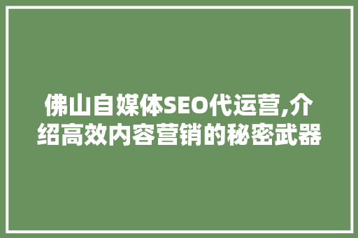 佛山自媒体SEO代运营,介绍高效内容营销的秘密武器