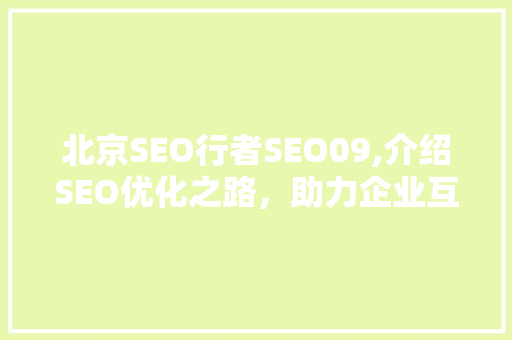 北京SEO行者SEO09,介绍SEO优化之路，助力企业互联网营销