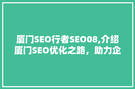 厦门SEO行者SEO08,介绍厦门SEO优化之路，助力企业互联网营销