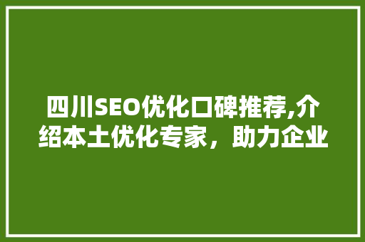 四川SEO优化口碑推荐,介绍本土优化专家，助力企业腾飞
