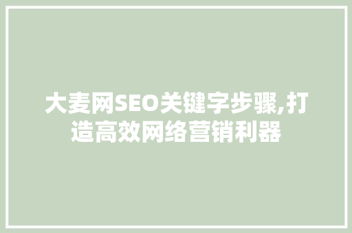 大麦网SEO关键字步骤,打造高效网络营销利器