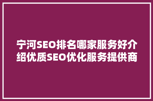 宁河SEO排名哪家服务好介绍优质SEO优化服务提供商
