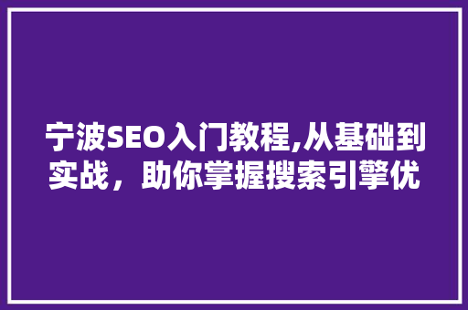 宁波SEO入门教程,从基础到实战，助你掌握搜索引擎优化之路