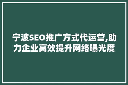 宁波SEO推广方式代运营,助力企业高效提升网络曝光度