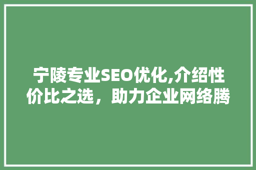 宁陵专业SEO优化,介绍性价比之选，助力企业网络腾飞