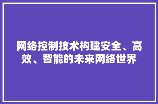 网络控制技术构建安全、高效、智能的未来网络世界