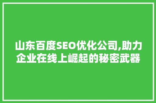 山东百度SEO优化公司,助力企业在线上崛起的秘密武器