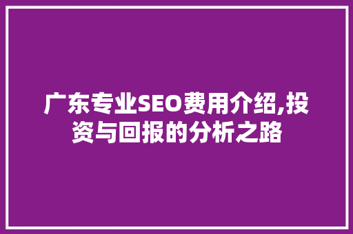 广东专业SEO费用介绍,投资与回报的分析之路