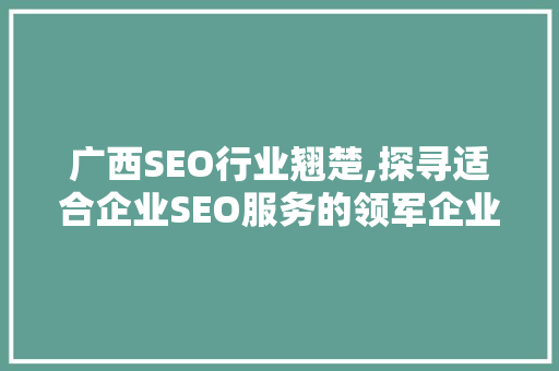 广西SEO行业翘楚,探寻适合企业SEO服务的领军企业