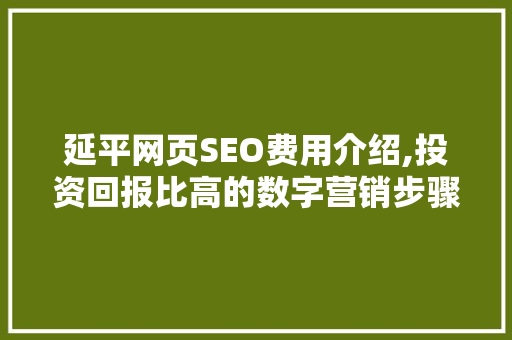 延平网页SEO费用介绍,投资回报比高的数字营销步骤